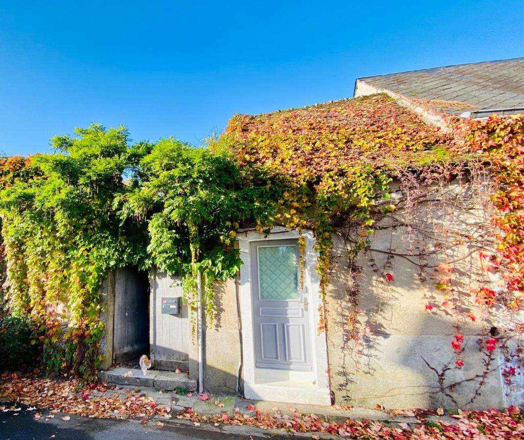 Le Secret De Clamecy Villa Selles-sur-Cher Exterior photo